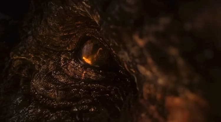 A close-up of Vermithor's eye.