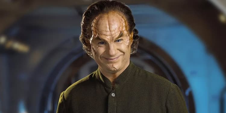 Dr Phlox